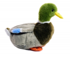 Erpel 18 cm